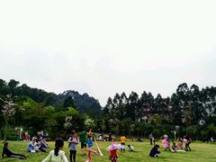 -火炉山森林公园