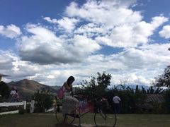 -黄色小屋