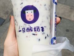 -一只酸奶牛(八一路店)