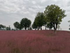 -汉长安城未央宫国家考古遗址公园