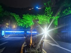 -千岛湖天屿景区