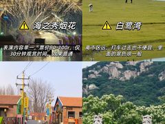 -日照海滨国家森林公园