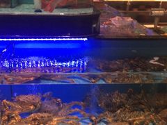 -阿伟海鲜楼·福建菜(延寿店)