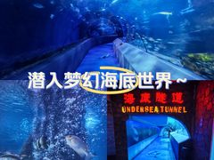 -太平洋海底世界