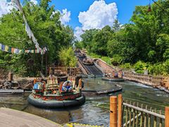 -奥兰多迪士尼动物王国乐园