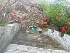 -玉泉威虎山森林公园