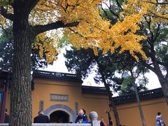 -灵岩山风景区