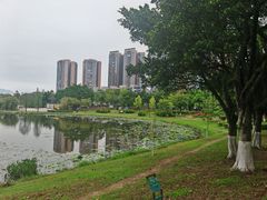 -飞来湖湿地公园