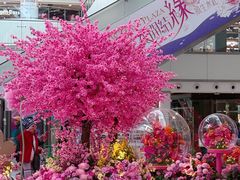 -新城市广场