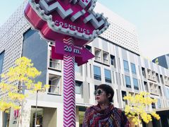 -尚泰清迈机场购物中心