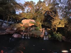 -江心屿景区
