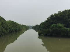 -大湾区中央湿地公园