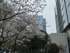 -星湖街(地铁站)