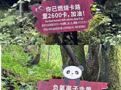 -西岭雪山大飞水景区