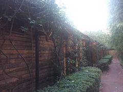 -阿斯牛牛十二餐厅•四季餐厅(民族大道店)
