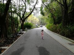 -云溪植物园