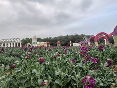 -松山湖梦幻百花洲