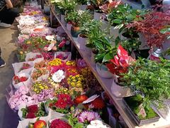 -花鸟鱼虫鲜花绿植市场(玉泉路店)