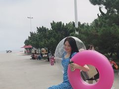 -日照海滨国家森林公园