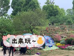 -秀丽东方
