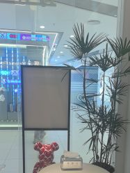 点击看大图 -玛莲朵·海菲秀冰珀科