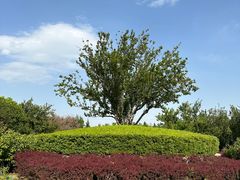 -古塔公园
