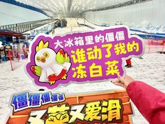-哈尔滨热雪奇迹