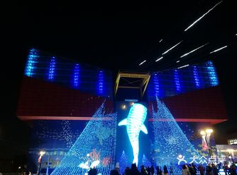 至今去过最棒的水族馆了 去大阪一定要去哦 就在大阪港