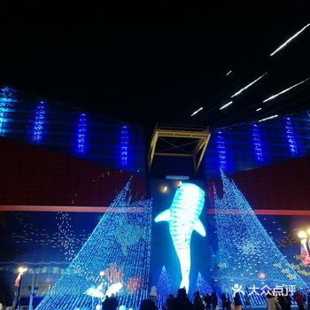 至今去过最棒的水族馆了 去大阪一定要去哦 就在大阪港