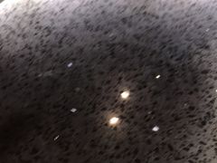 -绝味鸭脖(炫地店)