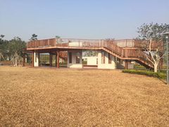 -宝安西湾红树林湿地公园