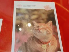 -鸡鸣赐茶(鸡鸣寺路店)