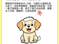 -北京观赏动物医院·24小时大型综合·猫专科·异宠专科