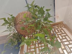 -懒人盐府人家·自贡大麻鱼(安贞店)