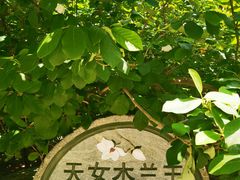 -大连天门山国家森林公园