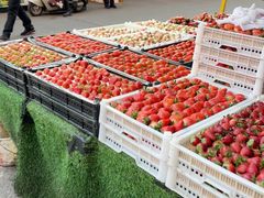 -南坛综合农贸市场