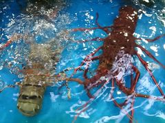 -清水湾3号(东方小周海鲜店)