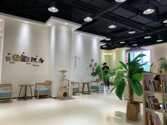 大堂-藏猫猫咖啡主题馆(中央大道店)