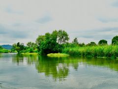 -西溪国家湿地公园