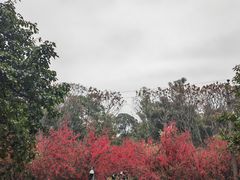 -塔子山公园