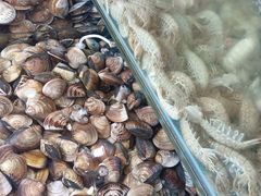 -港畔赶海蒸汽海鲜烧烤自助(仙螺岛店)
