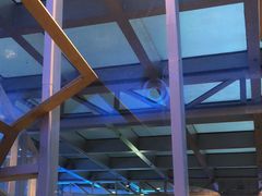 -王家渡火锅店(棕榈泉店)