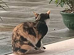 -南宁良凤江国家森林公园