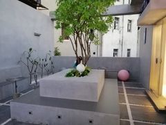 -PINTEA LAB(北京路店)