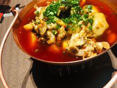 沸腾蛙-樽宴酒楼·地道川菜·品质宴请