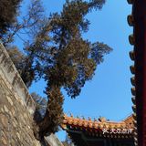 法海寺壁画的精美可与莫高窟比肩