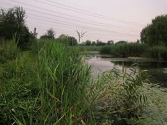 -永定河休闲森林公园