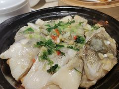 -点都德·毕德寮