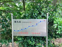 -阳台山森林公园