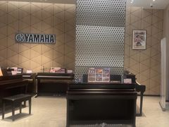 -知音艺术教育培训·钢琴培训·音乐培训(河西金鹰世界校区)